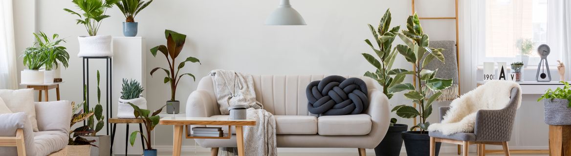 Mooi wonen begint bij Biano
